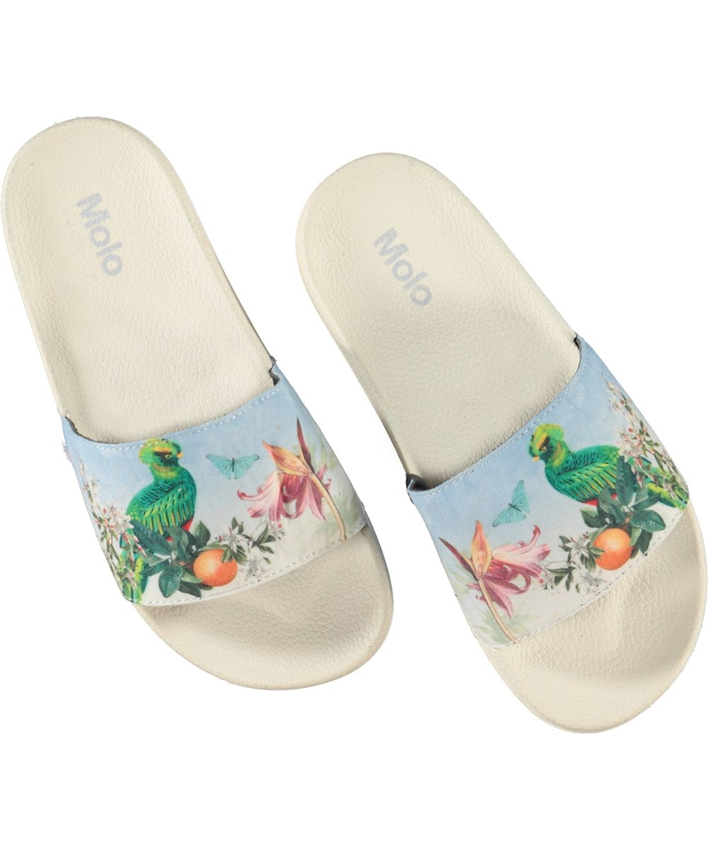 Bird of paradise slides