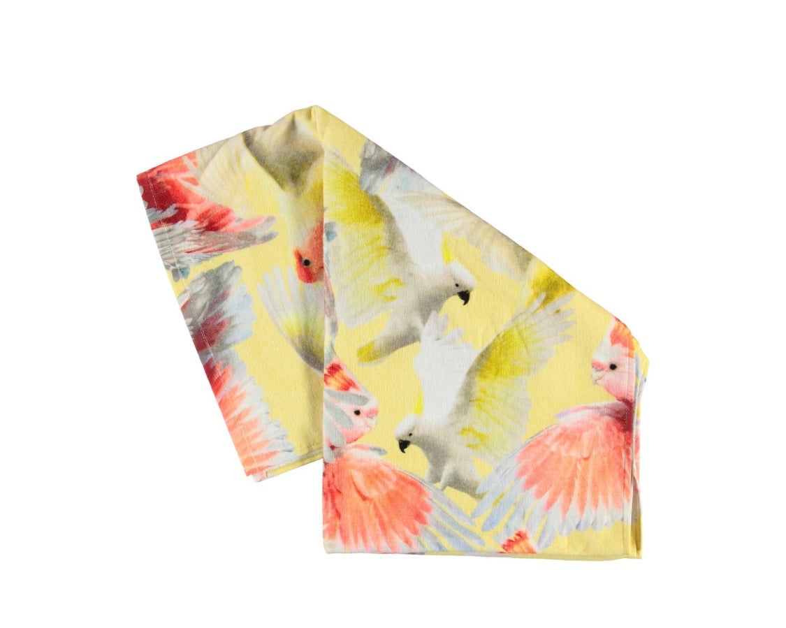“ Cockatoos “ with Beach Bag offer