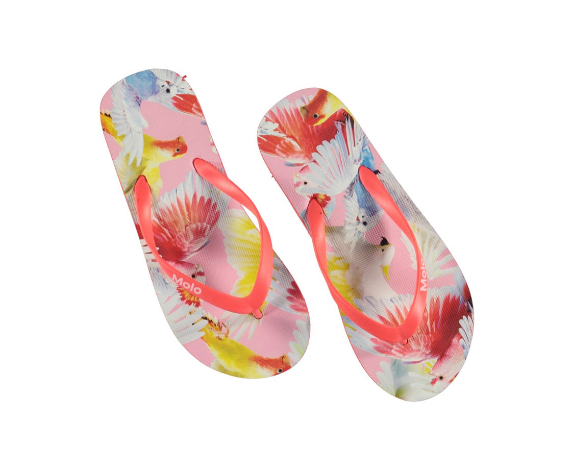 “ Cockatoos “ with Beach Bag offer